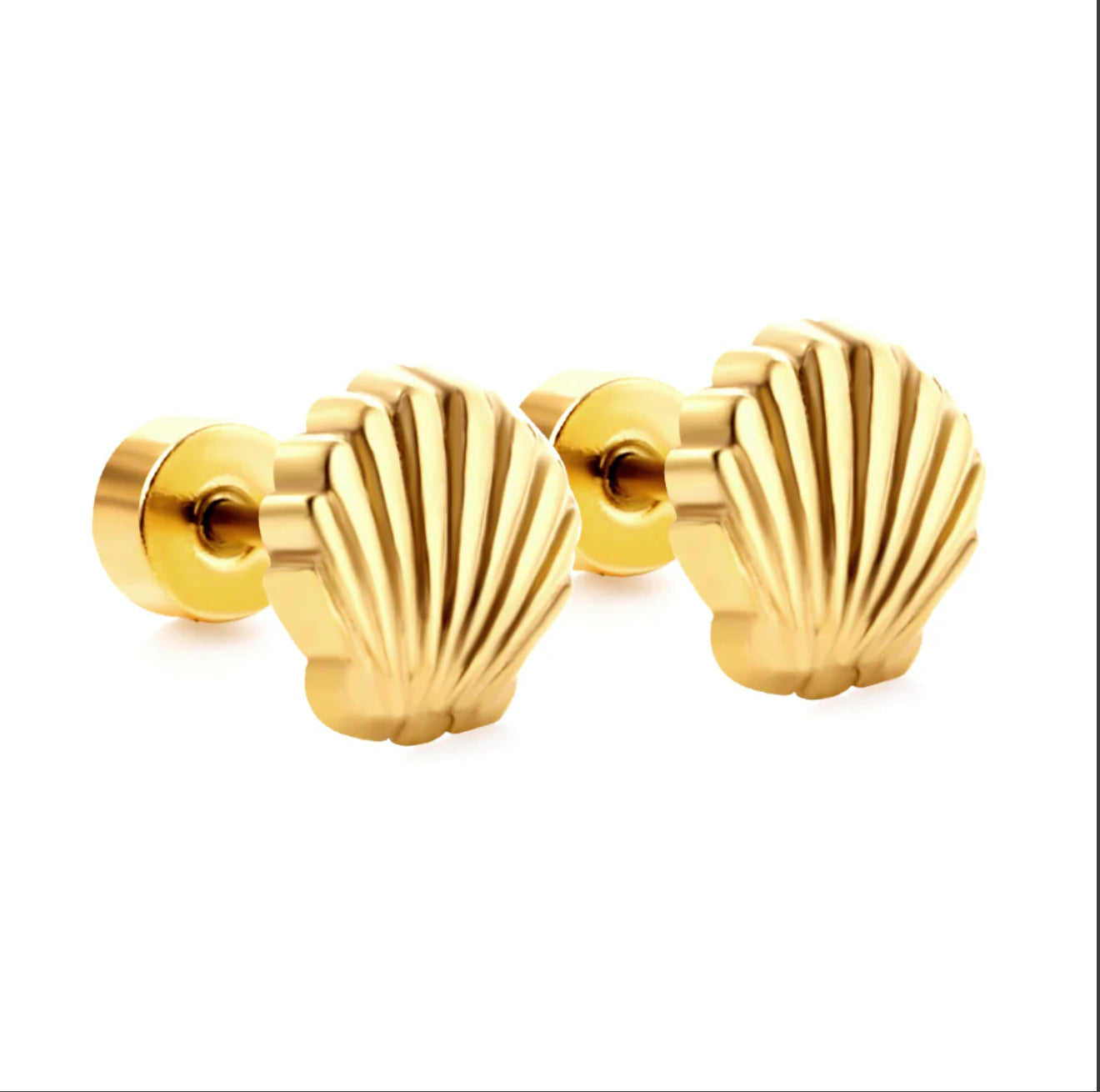 Seashell Studs
