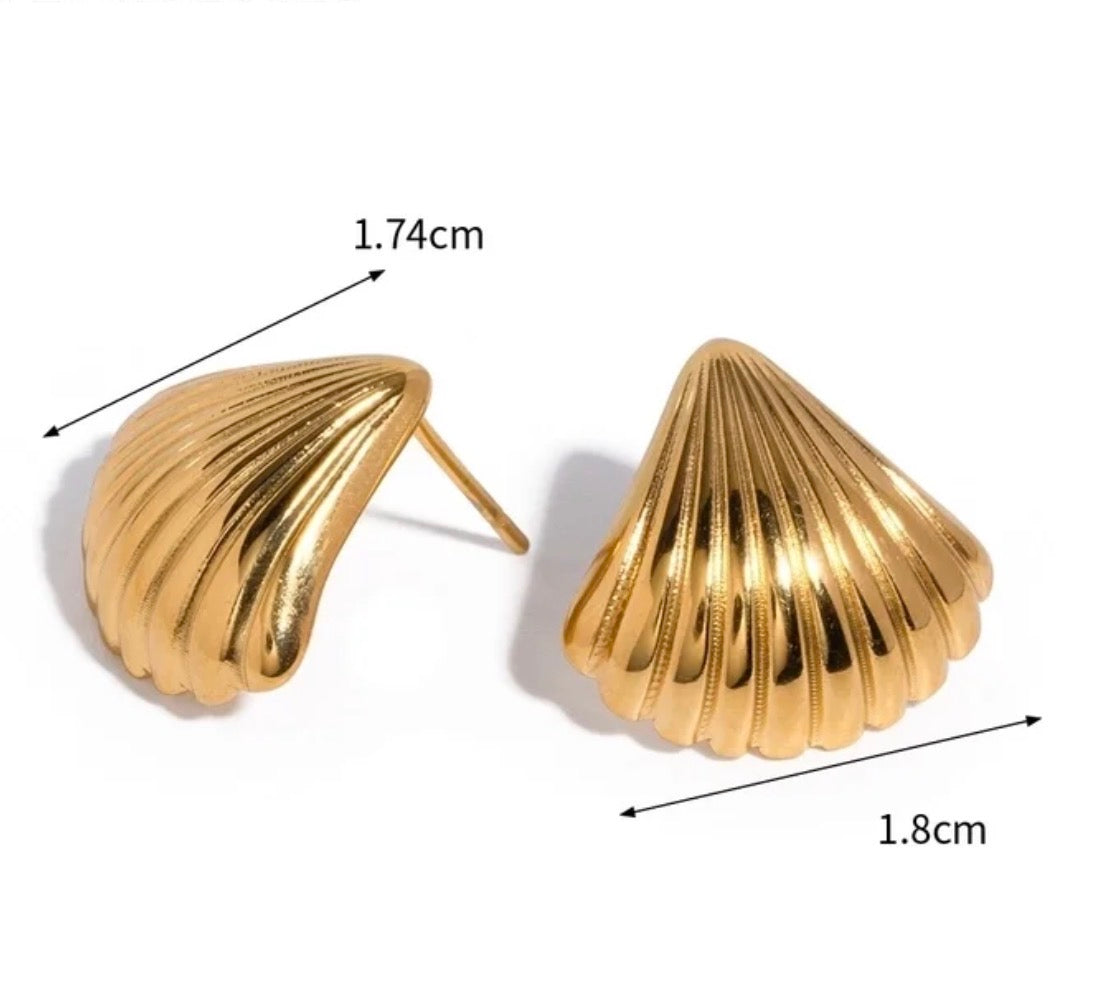 Shell Studs